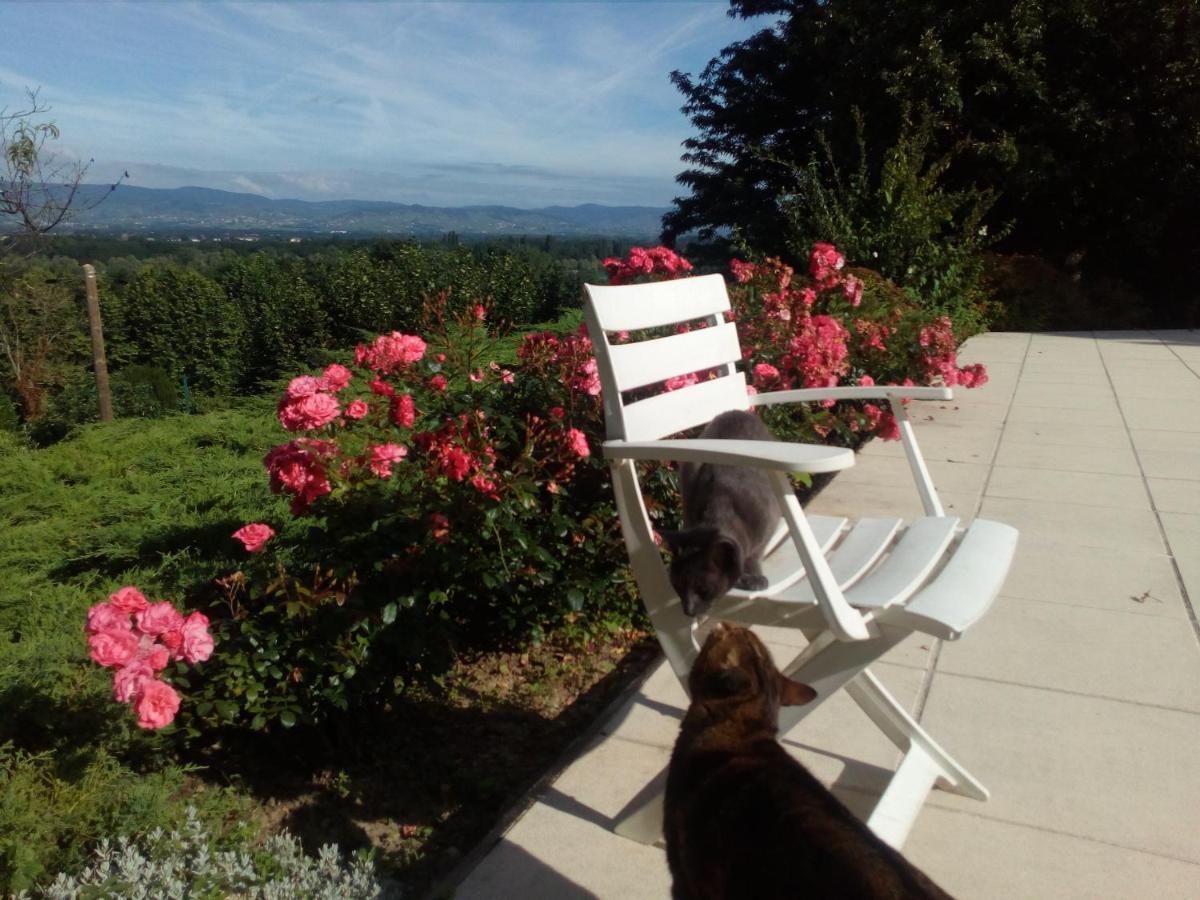 B&B Chez Frederique Et Norbert Mogneneins Екстериор снимка